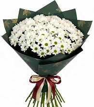 Букет цветов из:  Хризантемы #REPLACE_PRED# Тынде