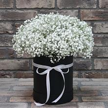 Цветочная композиция из Гипсофила в шляпной коробке в Тынде