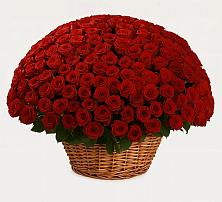 Премиум букет из: Розы #REPLACE_PRED# Тынде