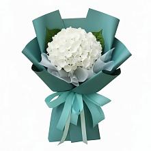 Букет цветов из:  Гортензия в Тынде